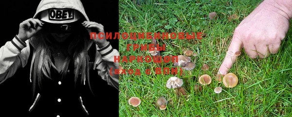 MDMA Богородск