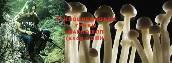первитин Белоозёрский